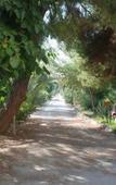 Туры в отель Agriturismo Terrauzza sul Mare Туры в отель Agriturismo Terrauzza sul Mare
