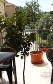 Туры в отель Affittacamere Il Terrazzo di Archimede Туры в отель Affittacamere Il Terrazzo di Archimede