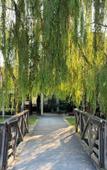 Туры в отель Boutique Hotel Borgo Nuovo Туры в отель Boutique Hotel Borgo Nuovo
