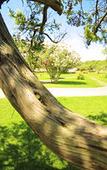 Туры в отель Villaggio dei Pini Туры в отель Villaggio dei Pini