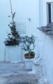 Туры в отель Charming Trulli Туры в отель Charming Trulli