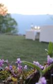 Туры в отель Essentia Guest House Туры в отель Essentia Guest House