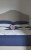 Туры в отель Essentia Guest House Туры в отель Essentia Guest House