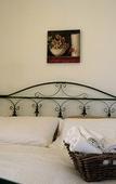 Туры в отель B&B Villa Maiolica Туры в отель B&B Villa Maiolica
