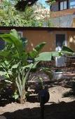 Туры в отель B&B Villa Maiolica Туры в отель B&B Villa Maiolica