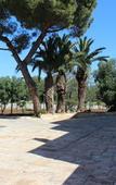 Туры в отель Masseria Valente Туры в отель Masseria Valente