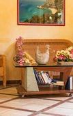 Туры в отель San Francisco Hotel Туры в отель San Francisco Hotel