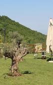 Туры в отель B&B I 4 Sentieri Туры в отель B&B I 4 Sentieri