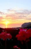 Туры в отель That's Amore Cilento Country House Туры в отель That's Amore Cilento Country House