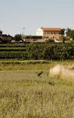Туры в отель Agriturismo Panorama Туры в отель Agriturismo Panorama