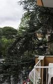 Туры в отель Roma Talenti Breme B&B Туры в отель Roma Talenti Breme B&B