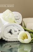Туры в отель Roma Talenti Breme B&B Туры в отель Roma Talenti Breme B&B