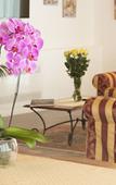 Туры в отель Agriturismo Ae Cavane Туры в отель Agriturismo Ae Cavane