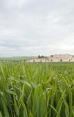 Туры в отель Tenuta Danesi Туры в отель Tenuta Danesi