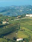Туры в отель Hotel Langhe & Monferrato Туры в отель Hotel Langhe & Monferrato