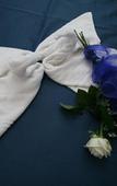 Туры в отель B&B Armonie Туры в отель B&B Armonie