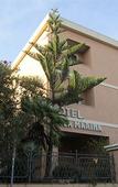 Туры в отель Hotel Villa Marina Туры в отель Hotel Villa Marina
