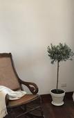 Туры в отель Maison Fernanda Туры в отель Maison Fernanda