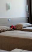 Туры в отель B&B Baglio Santa Croce Туры в отель B&B Baglio Santa Croce