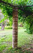 Туры в отель Etna Botanic Garden Туры в отель Etna Botanic Garden
