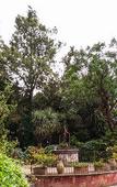 Туры в отель Etna Botanic Garden Туры в отель Etna Botanic Garden