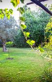 Туры в отель Etna Botanic Garden Туры в отель Etna Botanic Garden