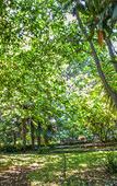 Туры в отель Etna Botanic Garden Туры в отель Etna Botanic Garden