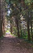 Туры в отель Etna Botanic Garden Туры в отель Etna Botanic Garden
