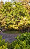 Туры в отель Etna Botanic Garden Туры в отель Etna Botanic Garden
