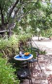 Туры в отель Etna Botanic Garden Туры в отель Etna Botanic Garden