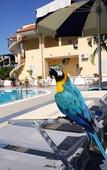 Туры в отель Hotel Damanse Туры в отель Hotel Damanse