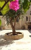 Туры в отель Palazzo Muro Leccese Relais de Charme Туры в отель Palazzo Muro Leccese Relais de Charme
