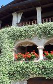 Туры в отель Albergo Gardesana Туры в отель Albergo Gardesana