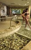 Туры в отель Socializing Hotel Mirna Туры в отель Socializing Hotel Mirna