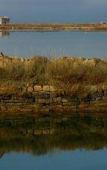 Туры в отель Socializing Hotel Mirna Туры в отель Socializing Hotel Mirna