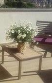 Туры в отель Dreams Guest House Туры в отель Dreams Guest House