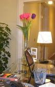 Туры в отель Bellini Home B&B Туры в отель Bellini Home B&B