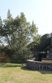 Туры в отель B&B Villa Loriana Туры в отель B&B Villa Loriana