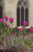Туры в отель Hotel Meuble Santa Chiara Suite Туры в отель Hotel Meuble Santa Chiara Suite
