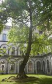Туры в отель Hotel Meuble Santa Chiara Suite Туры в отель Hotel Meuble Santa Chiara Suite