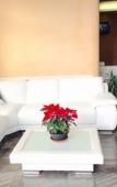 Туры в отель Hotel Ala Bianca Туры в отель Hotel Ala Bianca