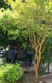 Туры в отель Il Giardino nel Parco R&B Туры в отель Il Giardino nel Parco R&B