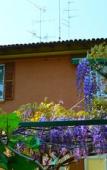 Туры в отель Il Giardino nel Parco R&B Туры в отель Il Giardino nel Parco R&B