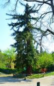 Туры в отель Il Giardino nel Parco R&B Туры в отель Il Giardino nel Parco R&B