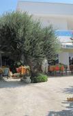 Туры в отель Hotel I Colori del Mare Туры в отель Hotel I Colori del Mare