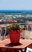 Туры в отель Tarconte Туры в отель Tarconte