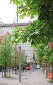 Туры в отель Albergo Residence Italia Туры в отель Albergo Residence Italia