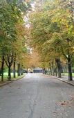 Туры в отель Albergo Panorama Туры в отель Albergo Panorama