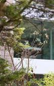 Туры в отель Villa Horti della Fasanara Туры в отель Villa Horti della Fasanara