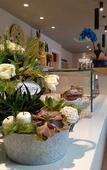 Туры в отель Hotel Ristorante Al Gallo Туры в отель Hotel Ristorante Al Gallo